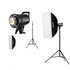 Godox SL60W duo LED kit