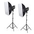 Godox SL60W duo LED kit